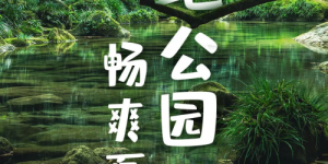 超5亿人免费开逛！这个“山地公园省”来天津放大招了！